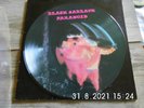 ?Black Sabbath Paranoid Picture Disc (LP)?