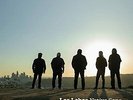 Los Lobos-`Native Sons (Indie Exclusive, Coke Bottle Clear Vinyl)` VINYL LP NEU