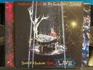 PANIC  AT THE DISCO ALL MY FRIENDS WE'RE GLORIOUS: DEATH OF A BACHELOR TOUR 2LP