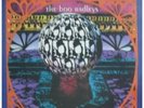 BOO RADLEYS / GIANT STEPS LP CRELP149