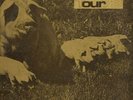 PINK FLOYD-Tour 73 1LP NEUF
