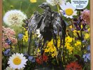 Current 93 - Swastikas For Noddy / Crooked Crosses For The Nodding God LP COIL