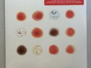 PETER GABRIEL Scratch My Back / And I'll Scratch Yours 2LP 13' US First Pr Vinyl