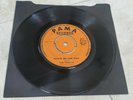 The Termites Show Me The Way / What Can I Do PAMA PM 738 Vinyl 7