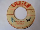 ROY SHIRLEY The Prophet + What To Do  FIRE Killer  Rocksteady 7