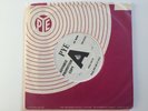 Rare UK 1965 PYE PROMO: The Primitives 'You Said' - Mod / Freakeat: NM
