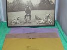 GEORGE HARRISON   ALL THINGS MUST PASS   1970 1ST PRESS  3-LP   VG+ (no poster)