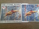 The Stone Roses   UK 1st Pressing   Fools Gold  9.53  12