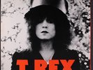 T. REX: the slider REPRISE 12