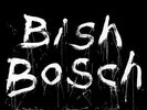 Scott Walker - Bish Bosch (Bonus One CD)  [VINYL]