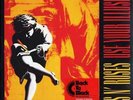 Use Your Illusion 1 [2 LP] - Guns N'Roses Geffen Records