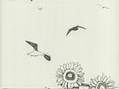 LEWIS, Naomi - Seagulls & Sunflowers (reissue) - Vinyl (limited LP + booklet)