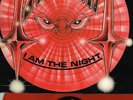 PANTERA - I AM THE NIGHT RARE REISSUE LP ON RED VINYL