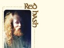 Gary Higgins - Red Hash LP NEW