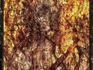 Lord Mantis - Universal Death Church LP NEW