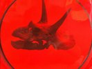 Alice In Chains – The Devil Put Dinosaurs Here 2lp 509999 58875 1 7