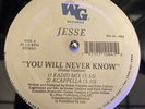 JESSE  YOU WILL NEVER KNOW  WISE GUY. 12” RARE FREESTYLE  VG+