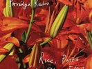 Porridge Radio - Rice, Pasta and Other Fillers LP NEW