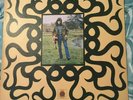 rick hayward vinyl LP 12 inch