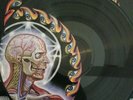 Lateralus By Tool (Record 2005)