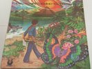 CARLOS GARNETT   “Journey To Enlightenment”   1974 ORIGINAL US MUSE RECORDS
