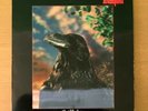 THE STRANGLERS The Raven UK LP 1979 3D Sleeve Printed Inner Sleeve 1st Press EX