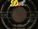 JAGUARS: the gorilla DOT 7