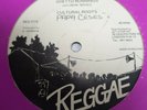 Cultural Roots Ghetto Runnings UK 12