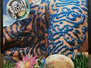 JELLYFISH  Bellybutton 1990 LP PROMO Fold Out Cover VG+/NM Jason FALKNER RARE