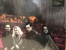 The Dead Weather - Dodge And Burn LP 180 Gram Vinyl Record Album Jack White M