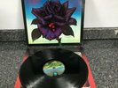 LP VINYL ALBUM THIN LIZZY - BLACK ROSE. A ROCK LEGEND 1979 UK 1ST PRESS VG+/VG+