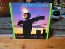 Sonic Youth - Bad Moon Rising Vinyl LP Blast First/Homestead Records w/ insert