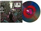 A Day To Remember - Homesick Vinyl LP Red Green Blue Starburst /555 New