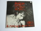 The Birthday Party Lydia Lunch Drunk On The Popes Blood The Agony is the ecstasy