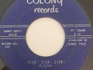 Rare Girl Group Doo-Wop 45/ Terry Corin & Boyfriends 