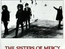 sisters of mercy 'The Last Magician of Rational Thought' White Vinyl 7