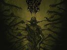 Defeated Sanity - Passages Into Deformity LP NEW Pic Disc