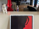Sade Unplugged UBER RARE LP Only one on E-bay US Seller vinyl Sony UK SADE