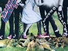 Ariel Pink - Odditties Sodomies Vol. 1 2LP NEW