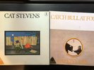 Cat Stevens 