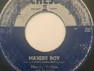 Rare Blues 45/ Muddy Waters 