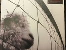 Pearl Jam - Vs LP [Vinyl New] 180gm Gate Grunge Record Album Animal Blood Leash