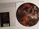 Disturbed / Inside The Fire & Perfect Insanity / 2008 Picture Disc 45 / Mint
