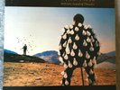 Pink Floyd A Delicate Sound of Thunder Vinyl From Greece