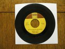 Marvin Gaye & Tammi Terrell – Ain't No Mountain High Enough 1967 7