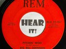 Wicked KY Rockabilly Country Bopper 45 BIG JIM JOHNSON Pitching' Woo REM hear