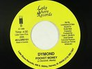 Funk Boogie 45 - Dymond - Pocket Money - Lake Shore - NM mp3