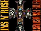 guns n roses appetite for destruction vinyl 1987,VG, lyrics on sleeve