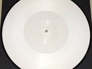 ALICE IN CHAINS The Devil Put Dinosaurs Here DISC 2 PICTURE DISC TEST PRESSING