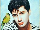 33t Etienne Daho - La notte, la notte (LP)